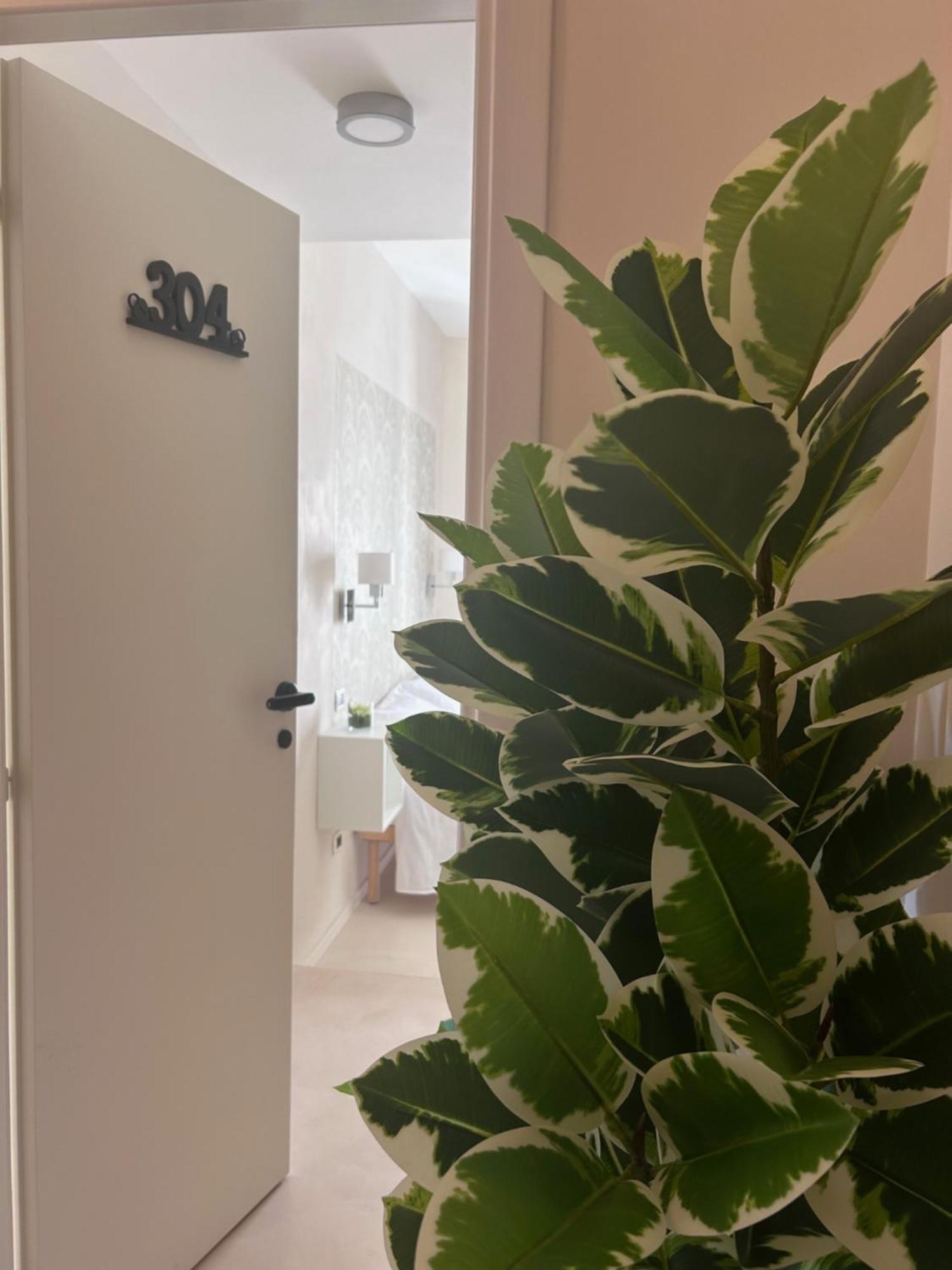 L'isola Di Lulu Homestay *